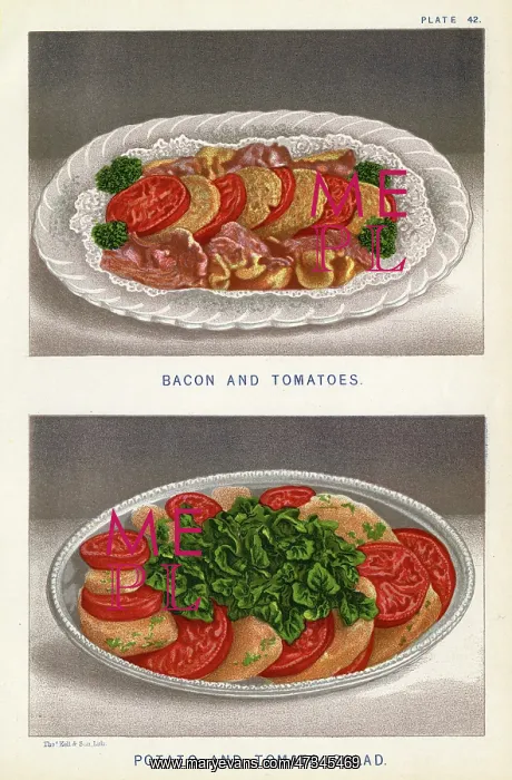 : TWO TOMATO DISHES : TWO TOMATO DISHES
