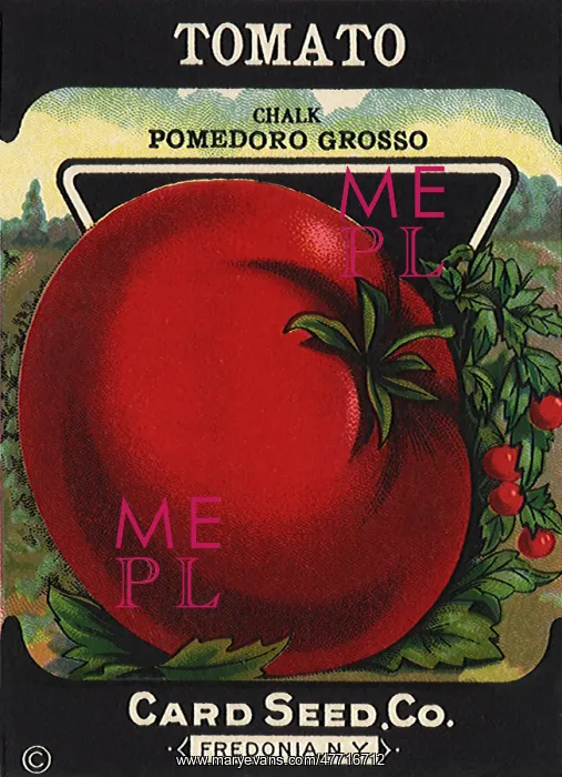 : Tomato Seed Packet