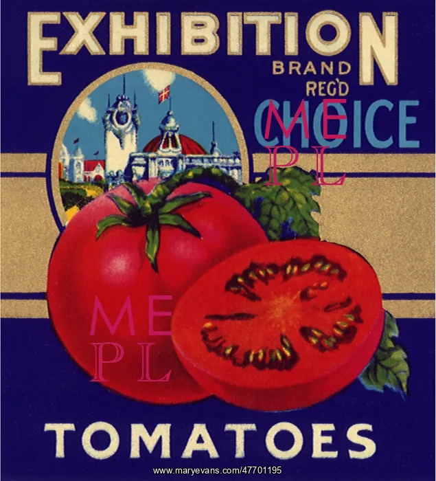  : Tomatoes