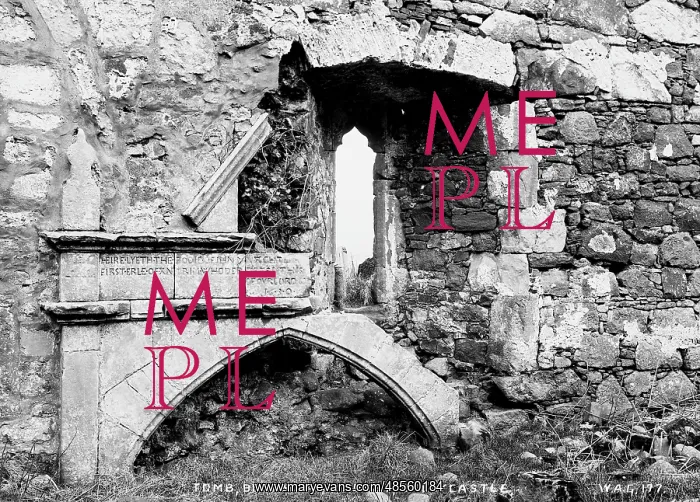 : Tomb, Bonamargy Abbey, Ballycastle : Tomb, Bonamargy Abbey, Ballycastle