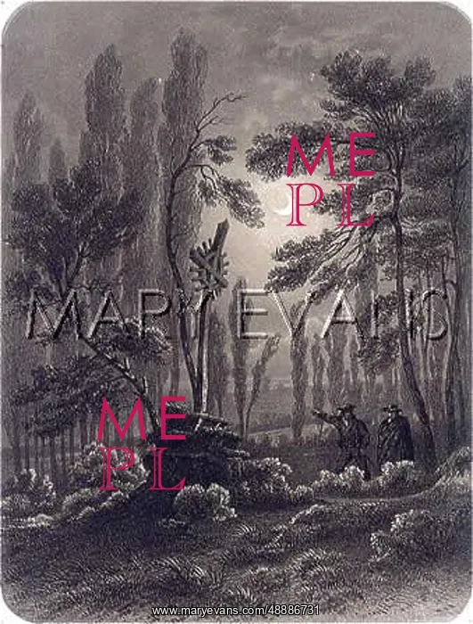 : TOMB IN THE FOREST : TOMB IN THE FOREST