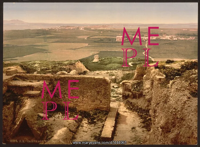 : Tombs and view of Goletta, Carthage, Tunisia : Tombs and view of Goletta, Carthage, Tunisia