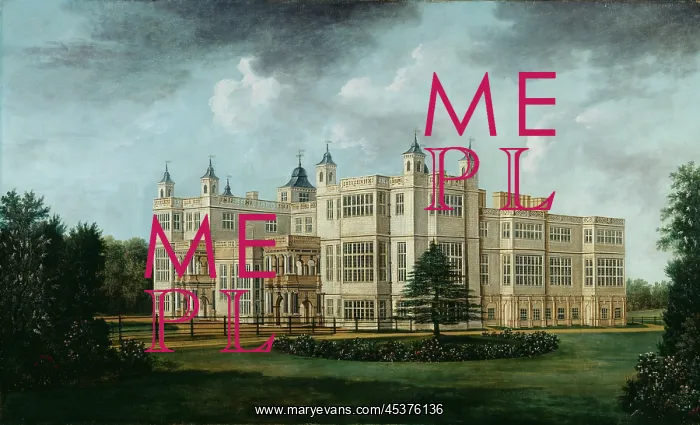 : Tomkins - Audley End from the South West : Tomkins - Audley End from the South West