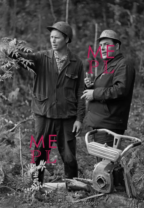: Tomlesprom Asinovsky Forestry : Tomlesprom Asinovsky Forestry