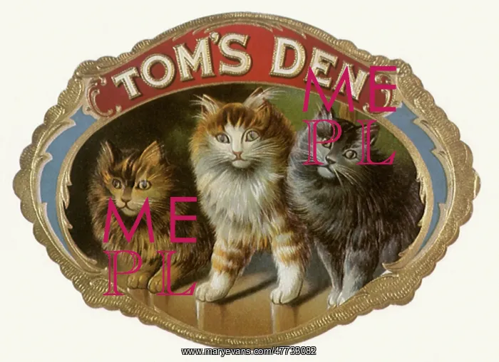 : Tom's Den Cigar Label with Cats : Tom's Den Cigar Label with Cats