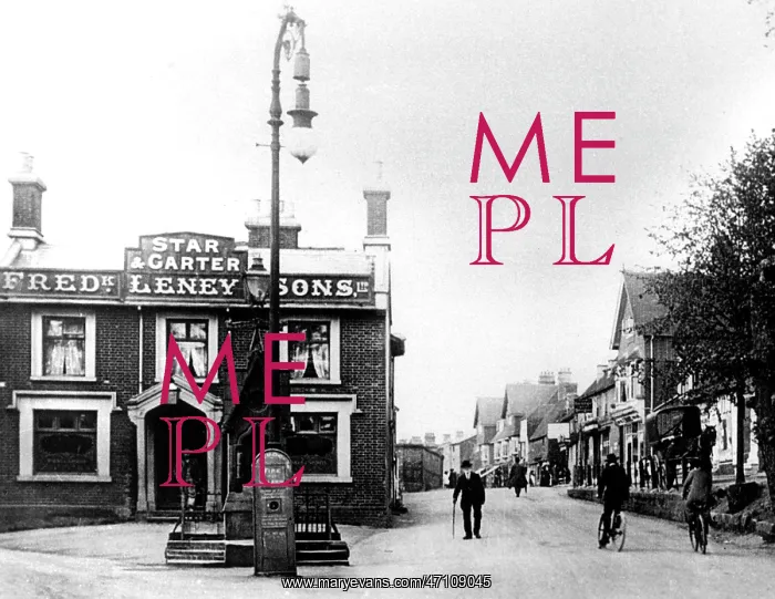  : Tonbridge Shipbourne Road early 1900s