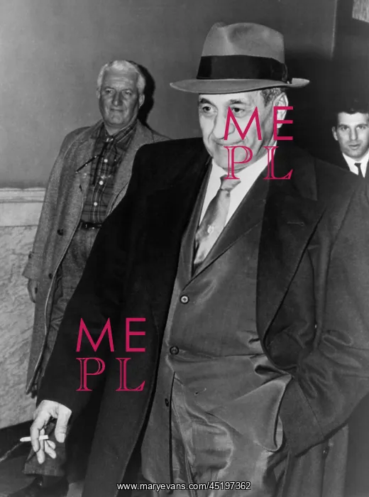 : Tony Accardo, successor of Al Capone as ? : Tony Accardo, successor of Al Capone as ?