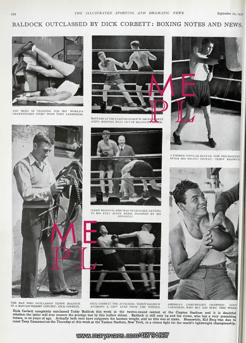 : Tony Canzoneri, Boxer : Tony Canzoneri, Boxer