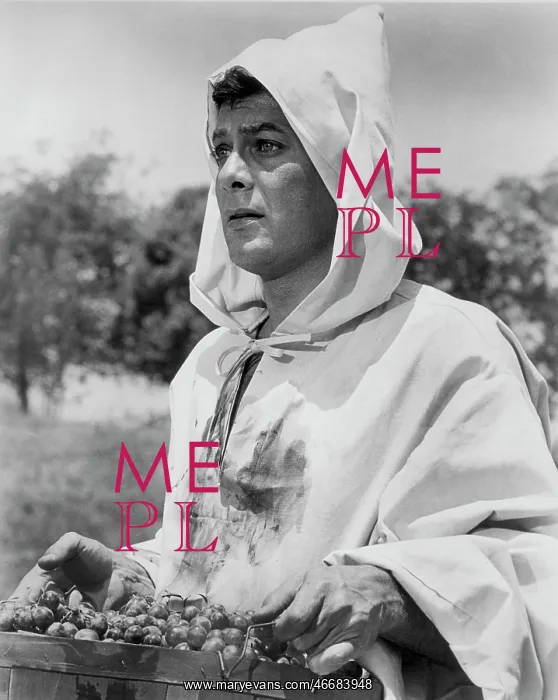 : Tony Curtis - Actor : Tony Curtis - Actor