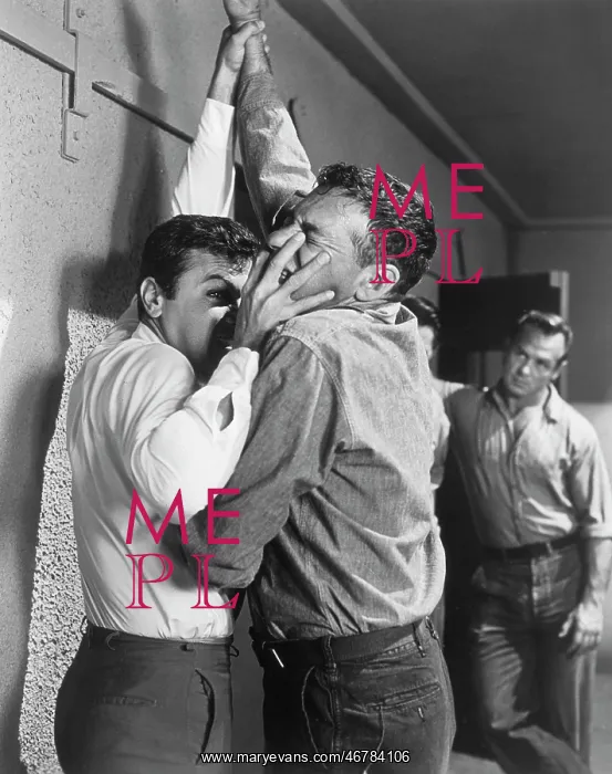 : Tony Curtis - Mike Kellin - celebrity : Tony Curtis - Mike Kellin - celebrity