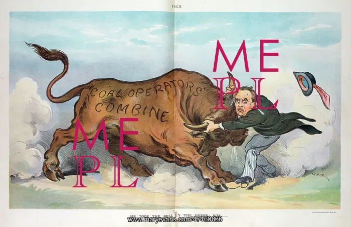: He took the bull by the horns; but - : He took the bull by the horns; but -