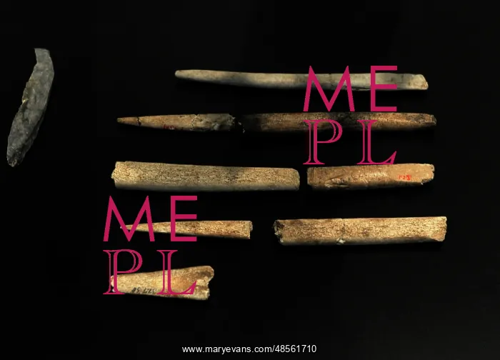 : Tools of flint and animal bones. Performed by Homo sapiens : Tools of flint and animal bones. Performed by Homo sapiens