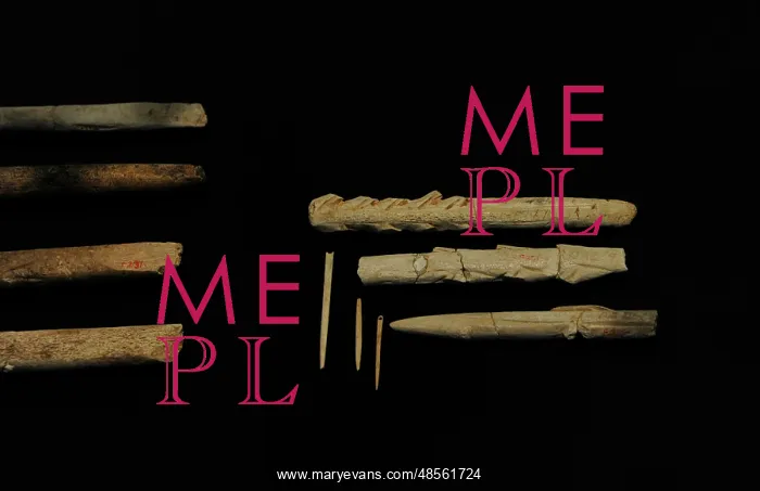 : Tools of flint and animal bones. Performed by Homo sapiens : Tools of flint and animal bones. Performed by Homo sapiens