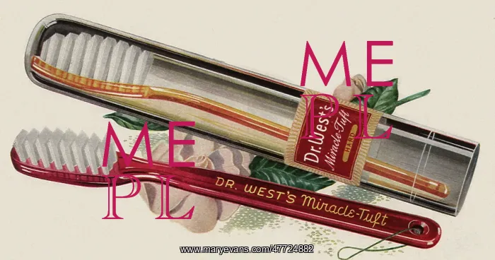: Two Toothbrushes : Two Toothbrushes