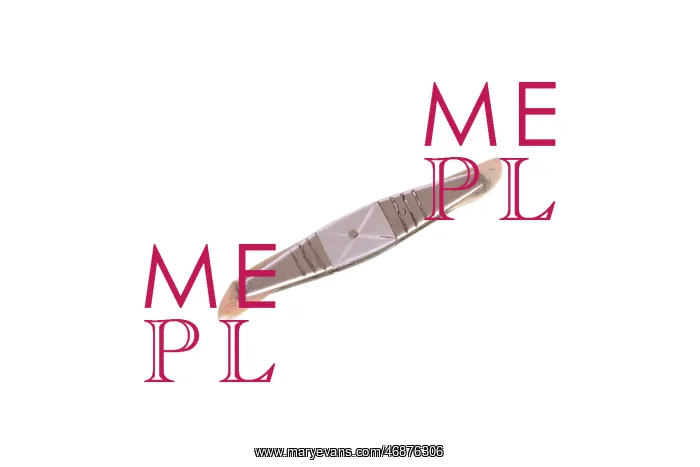  : Toothpick