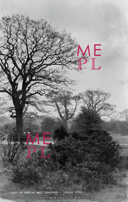  : On Tooting Bec Common