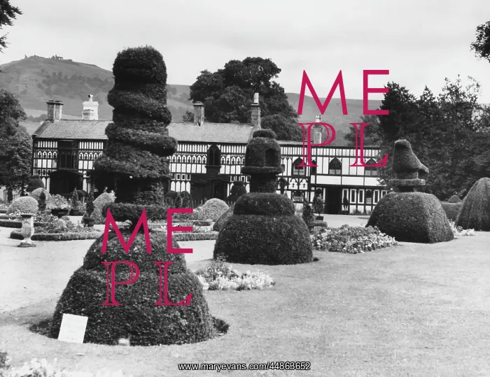 : TOPIARY AT PLAS NEWYDD : TOPIARY AT PLAS NEWYDD