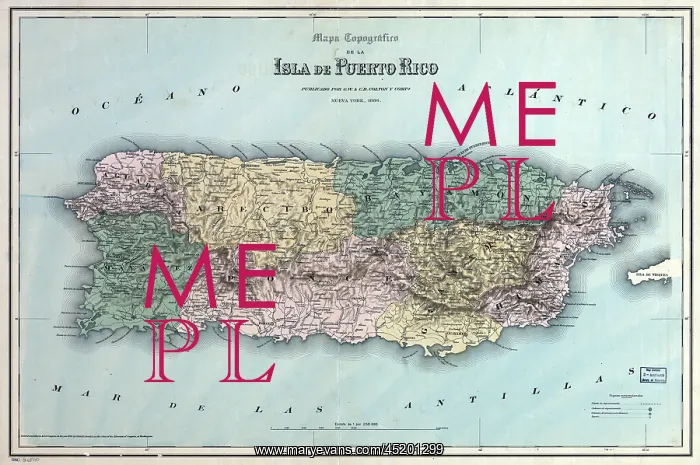 : Topographic map of the island of Puerto ? : Topographic map of the island of Puerto ?