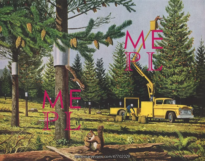  : Topping Trees