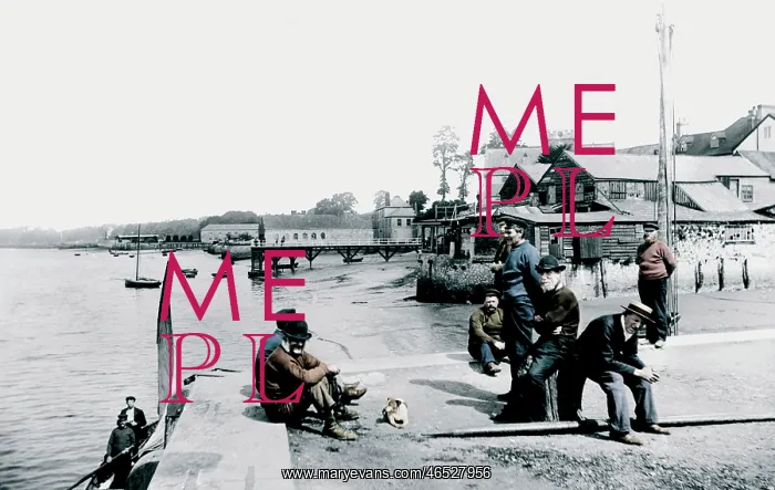  : Topsham, the Quay 1906