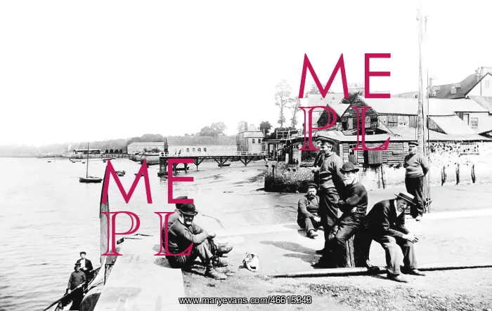  : Topsham, the Quay 1906