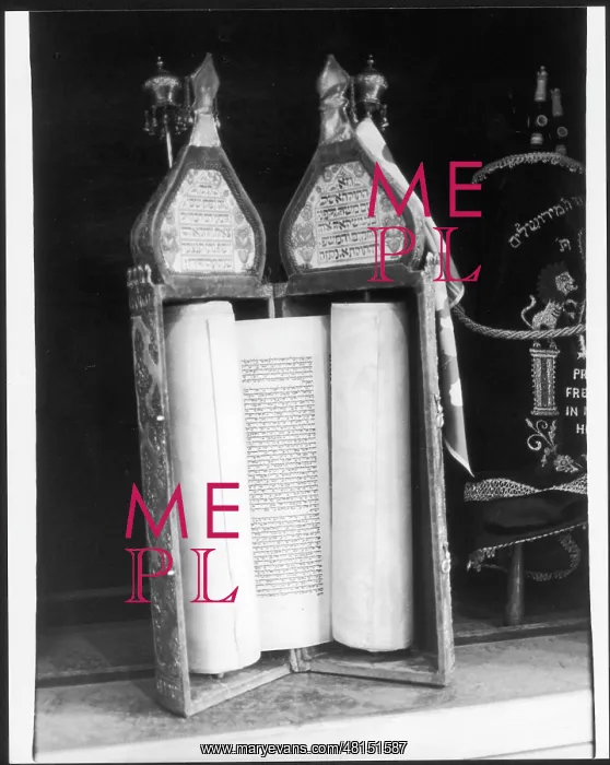 : TORAH SCROLL / CASE : TORAH SCROLL / CASE