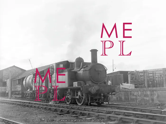 : Torbay Express steam train : Torbay Express steam train