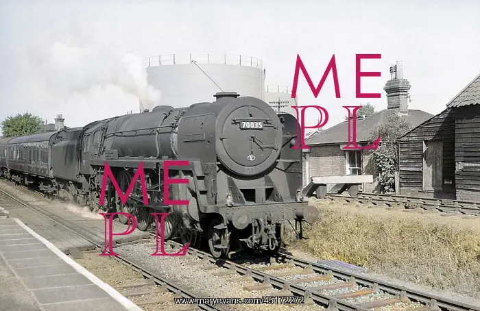 : Torbay Express steam train : Torbay Express steam train
