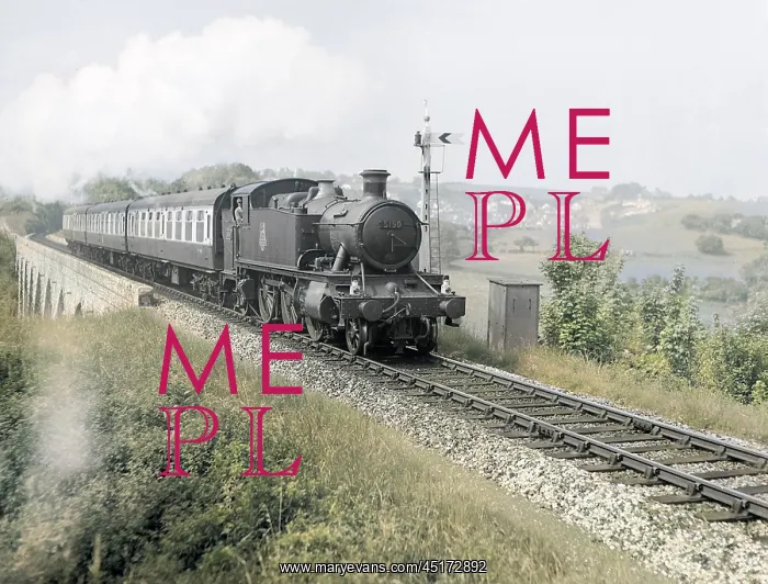 : Torbay Express steam train : Torbay Express steam train