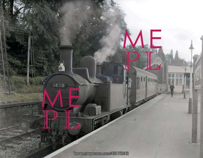 : Torbay Express steam train : Torbay Express steam train