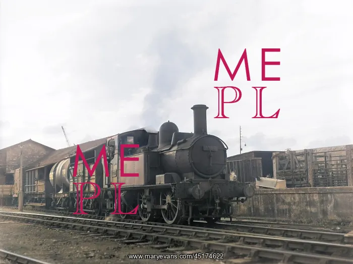 : Torbay Express steam train : Torbay Express steam train