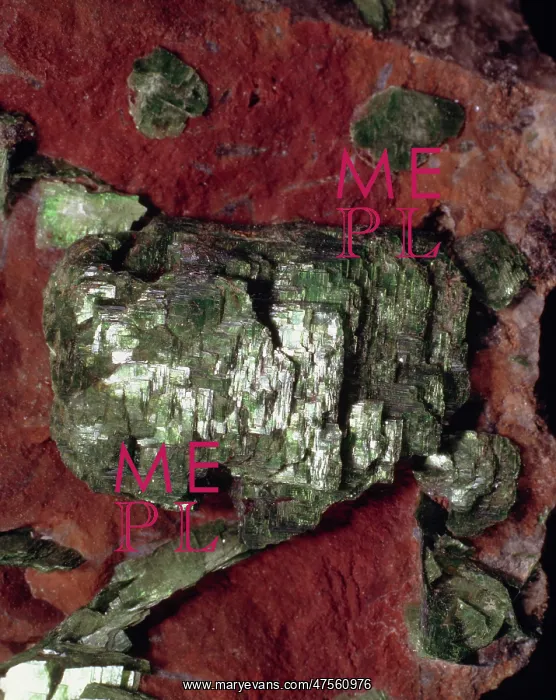 : Torbernite : Torbernite