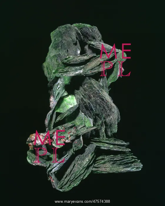 : Torbernite : Torbernite