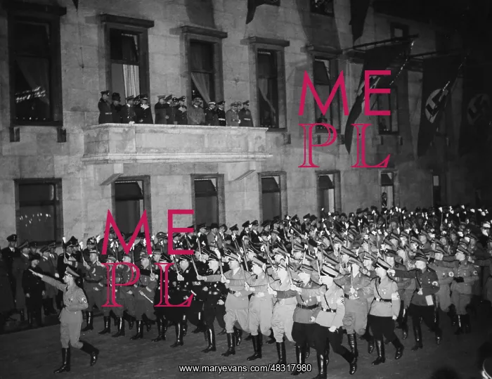 : Torchlight procession of the Alter Kaempfer : Torchlight procession of the Alter Kaempfer