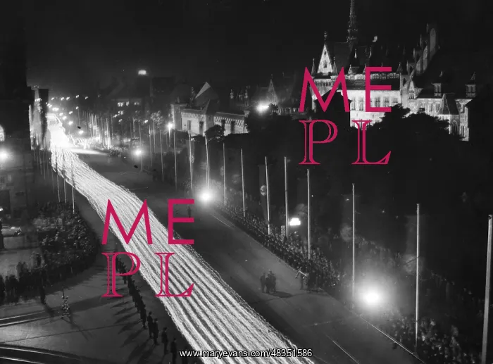 : Torchlight procession of political leaders : Torchlight procession of political leaders