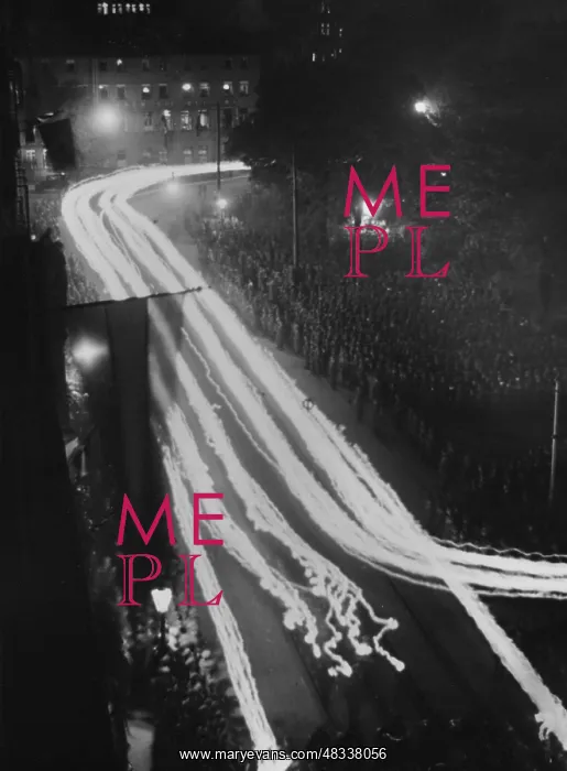 : Torchlight procession to the Reich leadership : Torchlight procession to the Reich leadership