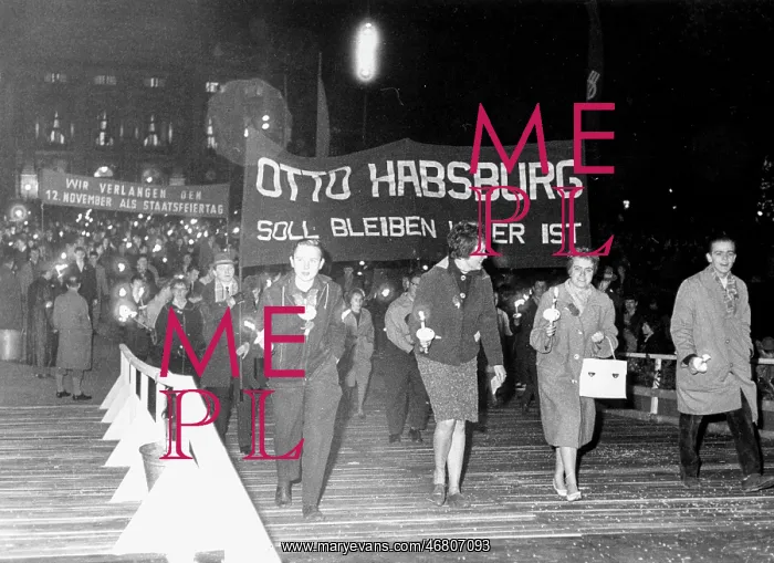 : Torchlight procession - Social Democratic Party of Austria : Torchlight procession - Social Democratic Party of Austria