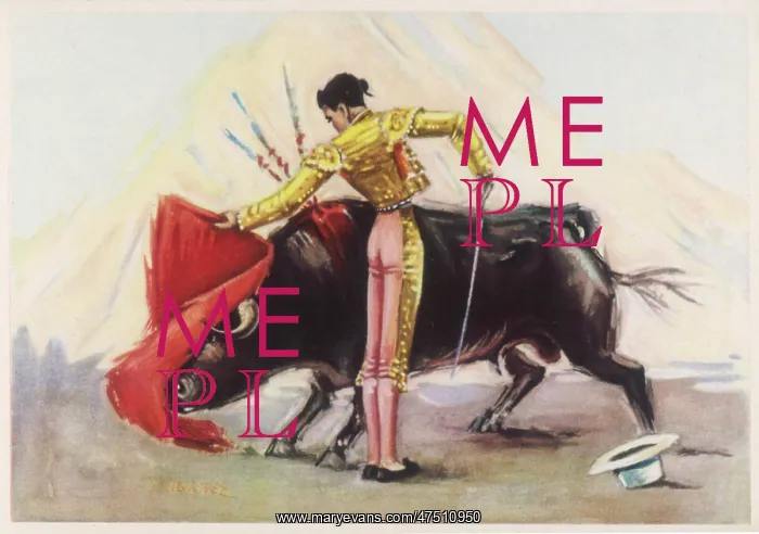 : TOREADOR AND BULL : TOREADOR AND BULL
