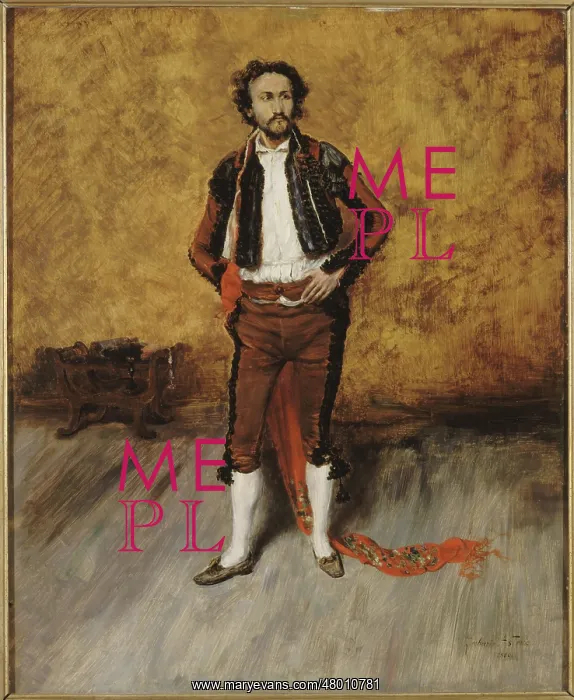 : The Torero's Costume : The Torero's Costume