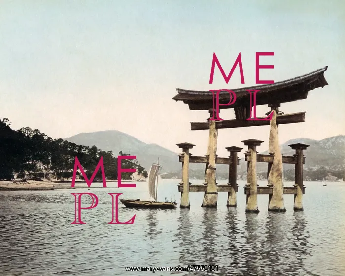 : Torii, Lake Ashi, Hakone, Japan : Torii, Lake Ashi, Hakone, Japan