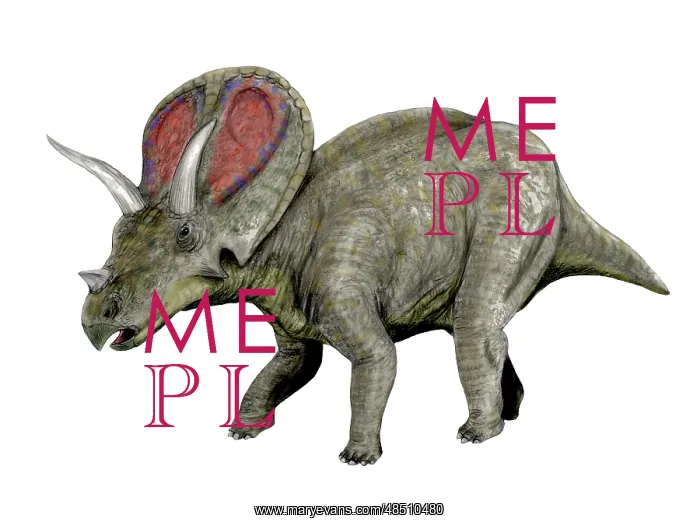 : Torosaurus dinosaur : Torosaurus dinosaur