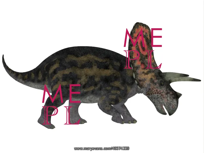 : Torosaurus, a herbivorous dinosaur from the Late Cretaceous : Torosaurus, a herbivorous dinosaur from the Late Cretaceous