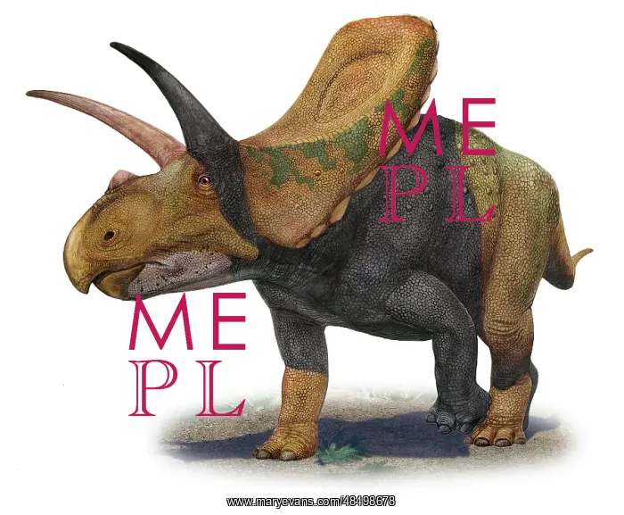 : Torosaurus latus, a prehistoric era dinosaur : Torosaurus latus, a prehistoric era dinosaur