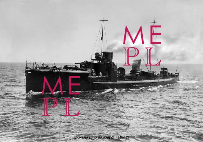 : Torpedo boat V 188 : Torpedo boat V 188