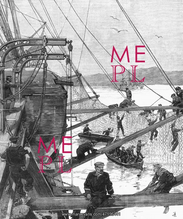 : TORPEDO NETS : TORPEDO NETS