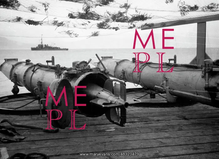 : Torpedo weapons, 1933-1939 : Torpedo weapons, 1933-1939