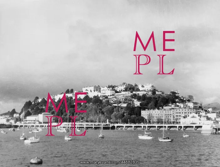 : TORQUAY HARBOUR : TORQUAY HARBOUR