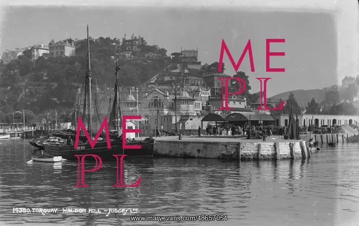 : Torquay Harbour Scene : Torquay Harbour Scene