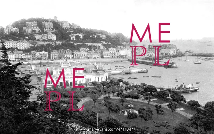  : Torquay - from Walden Hill