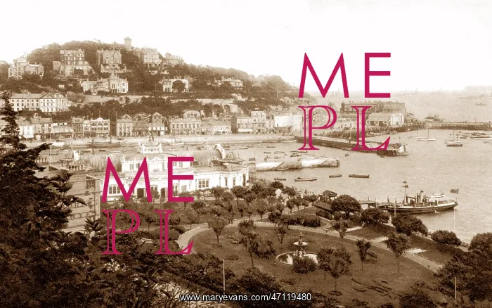  : Torquay - from Walden Hill